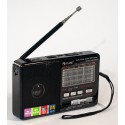 Radio Golon RX 181 portable speaker USB / SD / MP3 / FM / flashlight